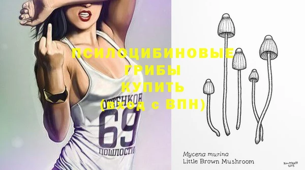 спайс Михайловск