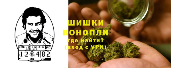 mdpv Медвежьегорск