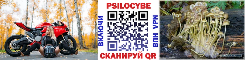 Галлюциногенные грибы мухоморы  Озёрск 