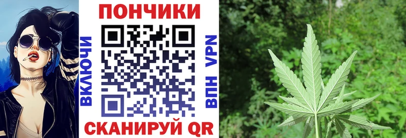 Конопля OG Kush  продажа наркотиков  Озёрск 